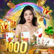 b2xbet
